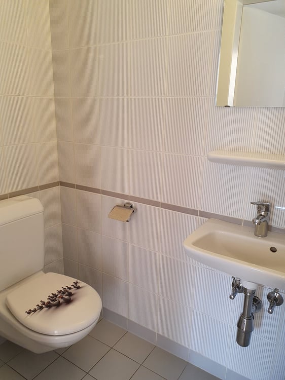 Appartement de 3 pièces à Perroy 3