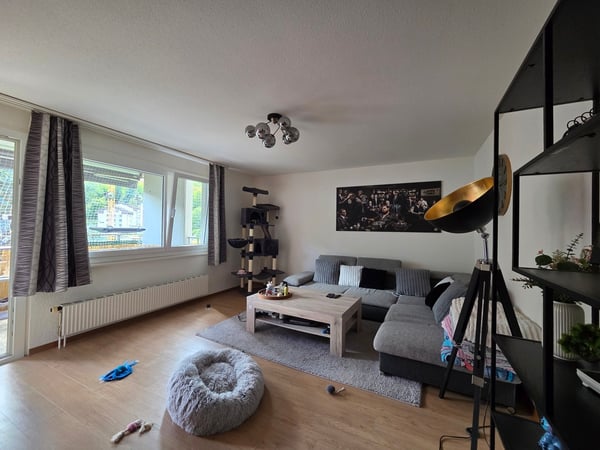 Joli appartement de 1.5 pièces avec balcon 3