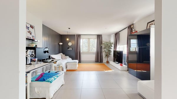 Propriété de charme avec vue imprenable sur le lac Léman 8