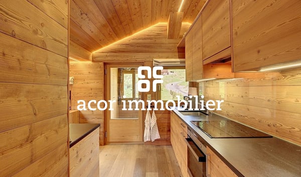 CHALET SKI-IN/SKI-OUT DE 3 APPARTEMENTS 5
