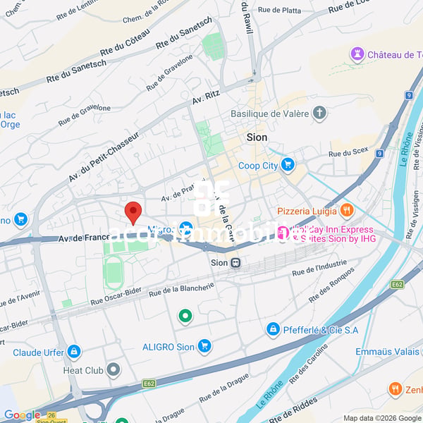 SION CENTRE - 4,5 PIÈCES DE 201 M² - JARDIN DE 106 M²- TERRASSES - SUD 6