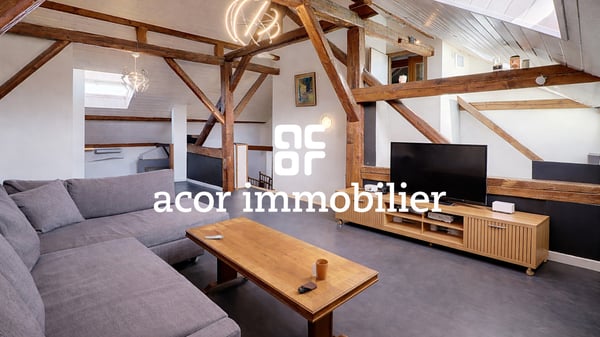 Immeuble de caractère avec jardin, piscine et revenu locatif 8