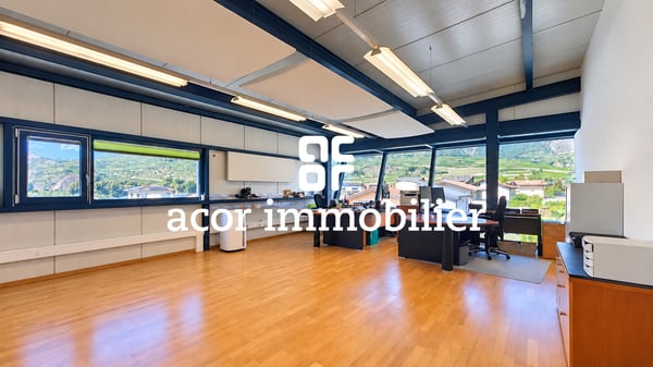Halle commercial et industriel aux portes de Sion 7