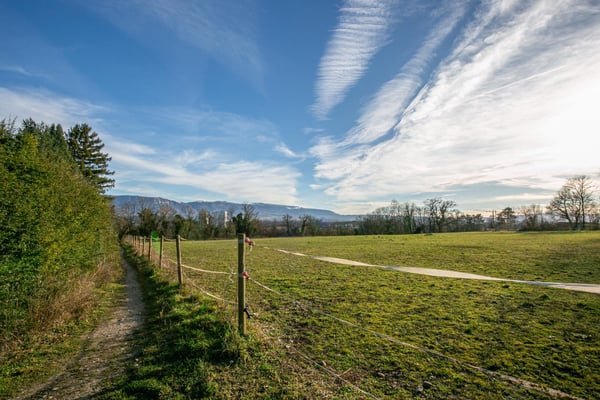 Superbe terrain en zone agricole au Domaine de Chignan 8