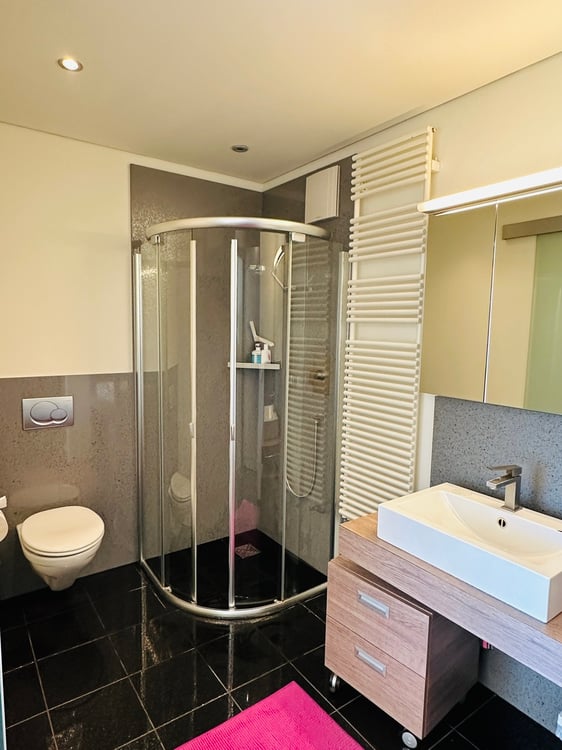 Très grand appartement à 5min à pied des télécabines violettes 12