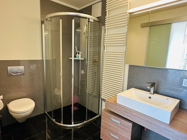 Très grand appartement à 5min à pied des télécabines violettes 11