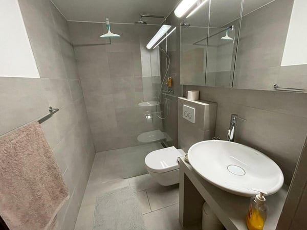 Spacieux 1.5 pièces meublé et équipé 7