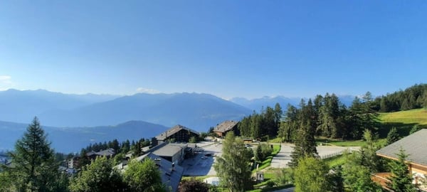 Armoises A102 - Location semaine 10