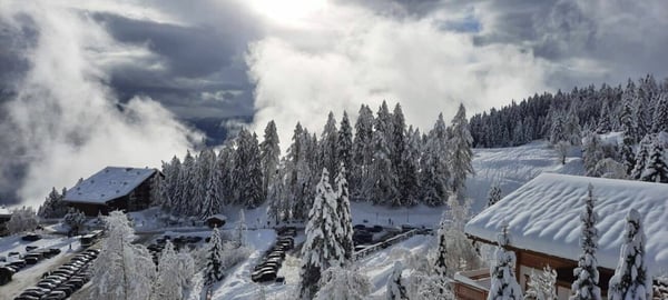 Armoises A102 - Location semaine 9