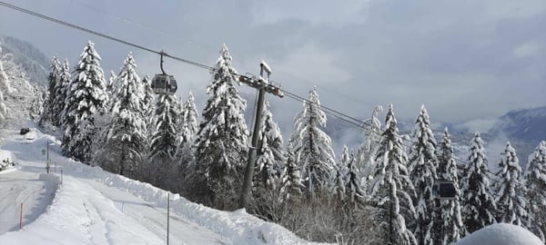 Armoises A102 - Location semaine 8