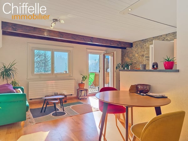 Immeuble résidentiel de 3 logements avec grand jardin 11