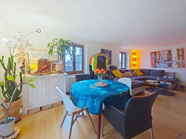 Charmante maison villageoise rénovée de 3 logements, très belle vue ! 6