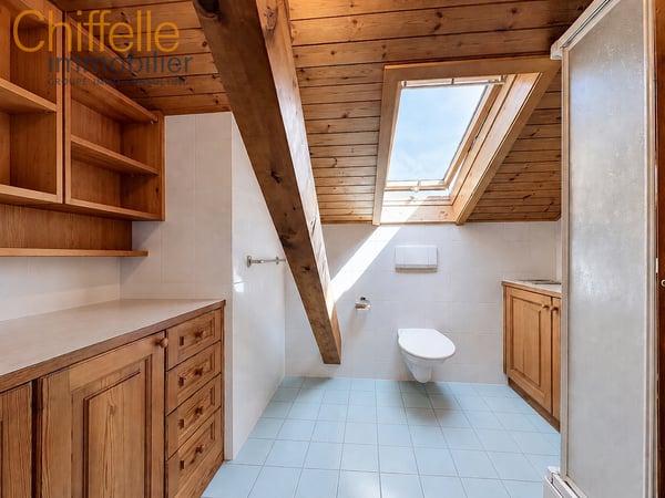 Belle villa familiale avec panorama sur le Léman et les Alpes 10