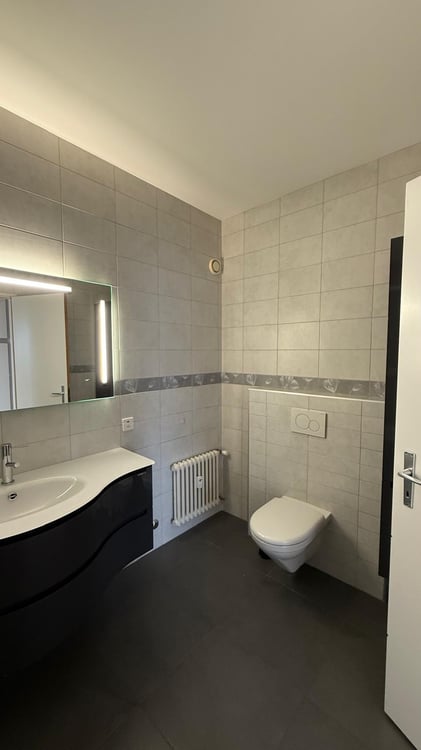 Magnifique appartement avec vue sur le Lac 11