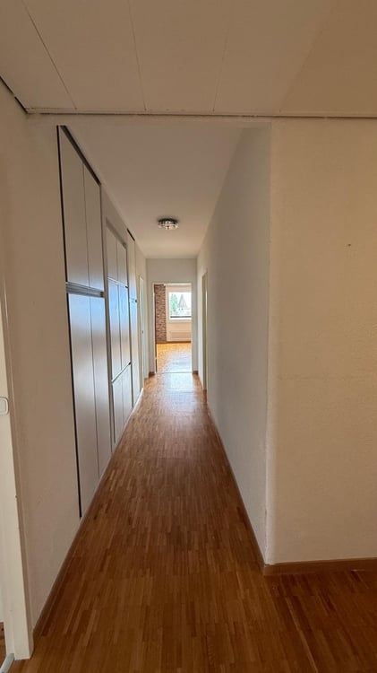 Magnifique appartement avec vue sur le Lac 6
