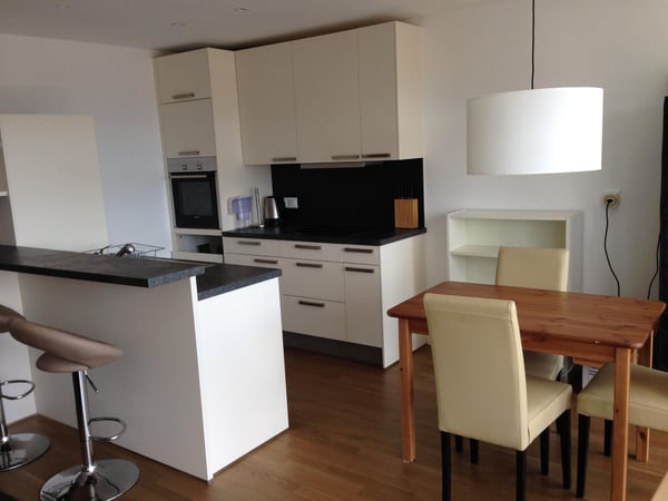 Appartement 1.5 pièces 2