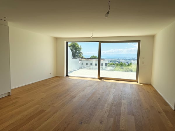 2.5 pièces en attique avec grande terrasse et vue sur le lac 3