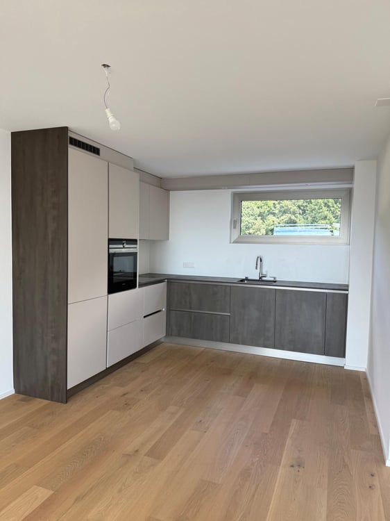 2.5 pièces en attique avec grande terrasse et vue sur le lac 4