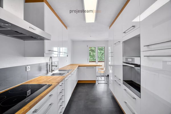 Appartement avec cheminée, rénové avec soin, grand balcon plein sud, dans un cadre verdoyant et familial 6