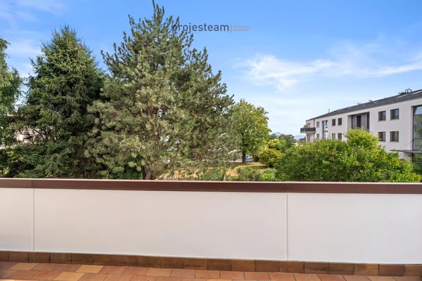Appartement avec cheminée, rénové avec soin, grand balcon plein sud, dans un cadre verdoyant et familial 12