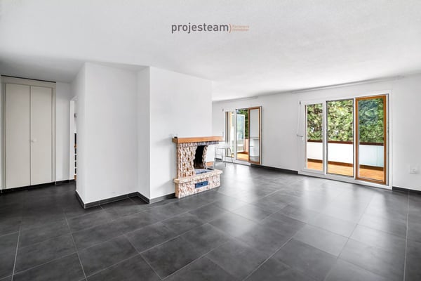 Appartement avec cheminée, rénové avec soin, grand balcon plein sud, dans un cadre verdoyant et familial 2