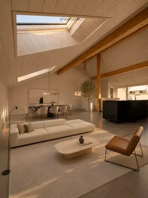 Appartement neuf - Duplex combles au cachet et charme accentué par des doubles hauteurs de plafond 1