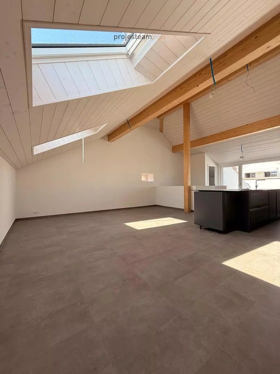Appartement neuf - Duplex combles au cachet et charme accentué par des doubles hauteurs de plafond 2
