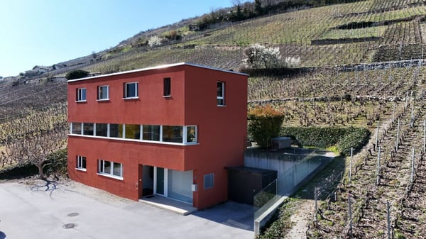 MAGNIFIQUE VILLA CONTEMPORAINE 2 PCES ½ DE 250 M2 AU COEUR DES VIGNES À NOËS (SIERRE) 33