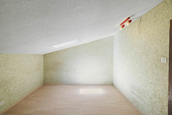 Maison individuelle 4 pièces 1/2 avec un atelier et une vue extraordinaire 19