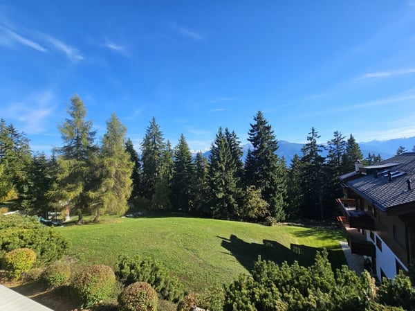 Appartement 1.5 pièces à Crans-Montana 4