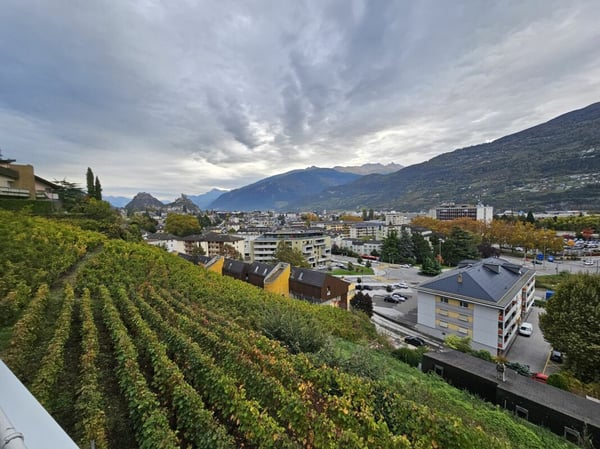 Appartement 1.5 pièces à Sion 4