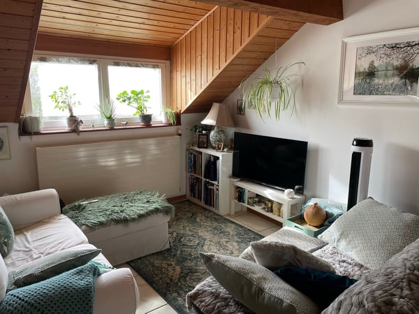 Magnifique propriété de 3 appartements à Longirod avec jardin 6