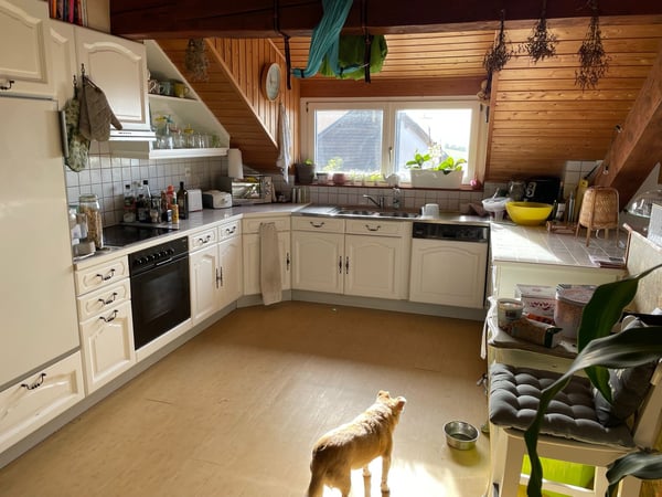 Magnifique propriété de 3 appartements à Longirod avec jardin 7