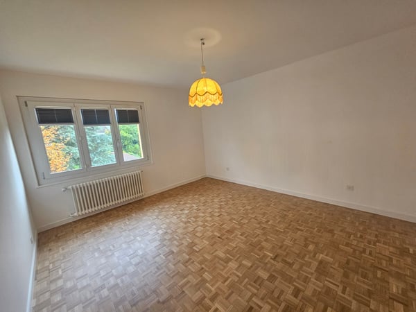 Magnifique appartement de 1.5 pièces (180 m2) avec cheminée à Renens-village 7