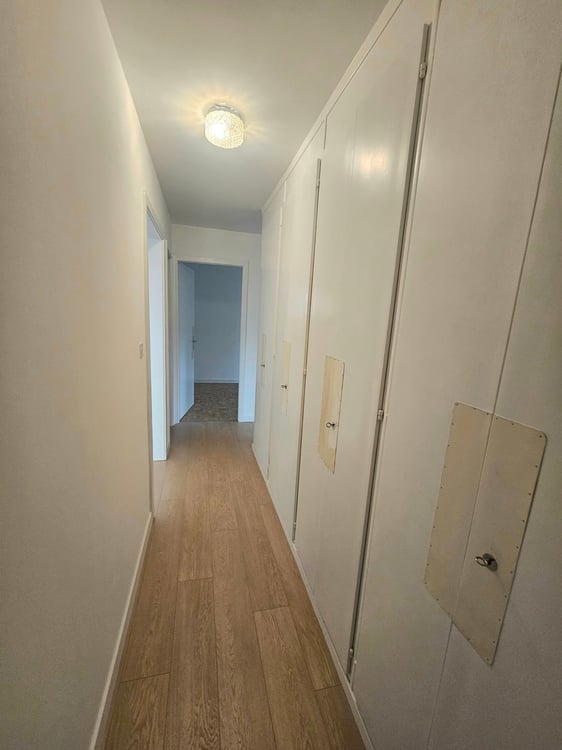 Magnifique appartement de 1.5 pièces (180 m2) avec cheminée à Renens-village 12