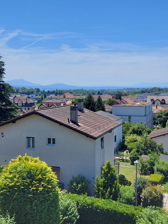 Magnifique appartement de 1.5 pièces (180 m2) avec cheminée à Renens-village 2