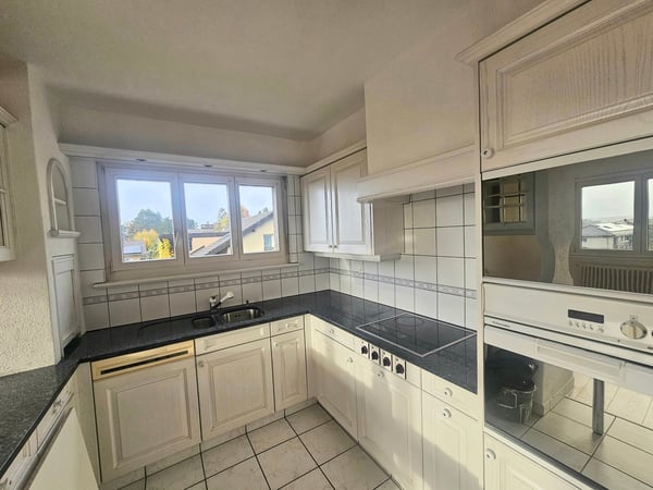 Magnifique appartement de 1.5 pièces (180 m2) avec cheminée à Renens-village 5