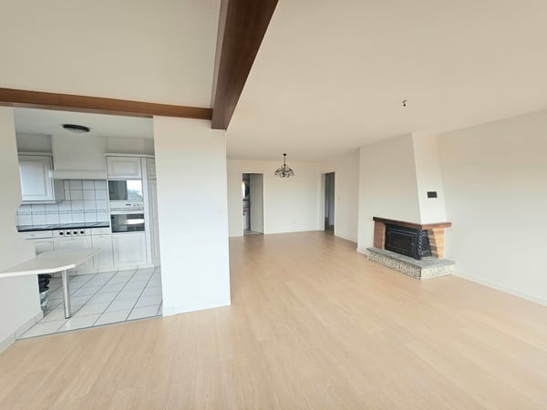 Magnifique appartement de 1.5 pièces (180 m2) avec cheminée à Renens-village 3
