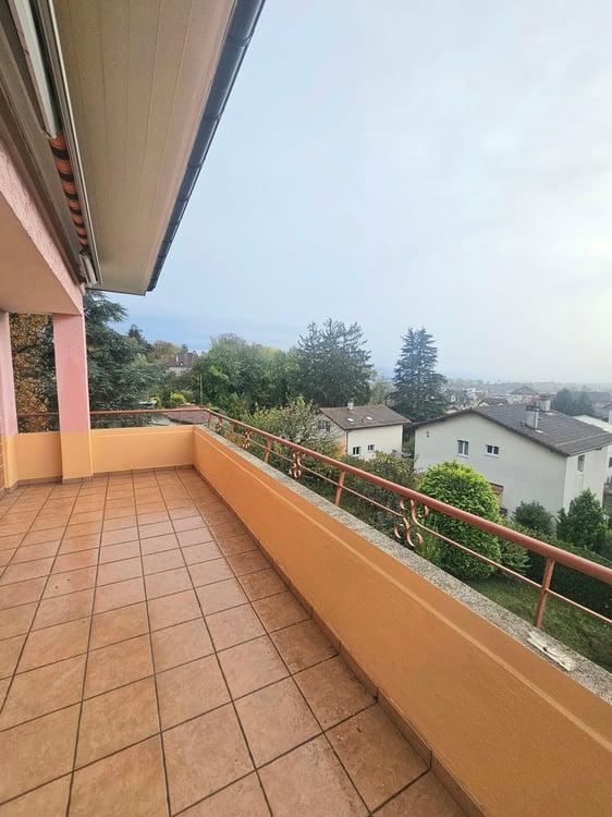 Magnifique appartement de 1.5 pièces (180 m2) avec cheminée à Renens-village 11