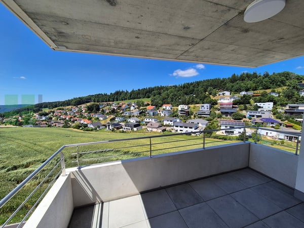 Magnifique 1.5 pièces adapté au dernier étage 2