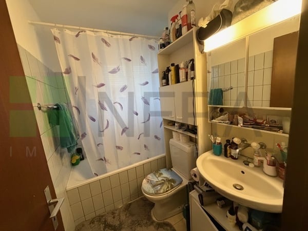 Appartement de 1 pces - Lumineux 3