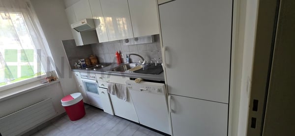 Vue magnifique sur les arbres - 1.5 pces de 15 m2 5