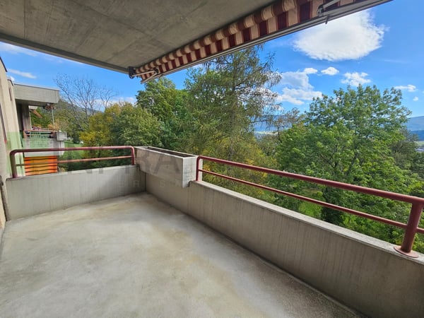 Vue magnifique sur les arbres - 1.5 pces de 15 m2 3