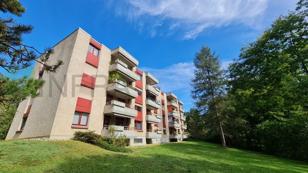 Vue magnifique sur les arbres - 1.5 pces de 15 m2 13