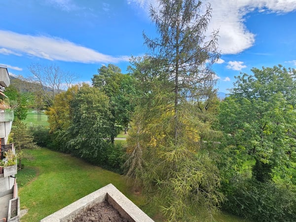 Vue magnifique sur les arbres - 1.5 pces de 15 m2 12