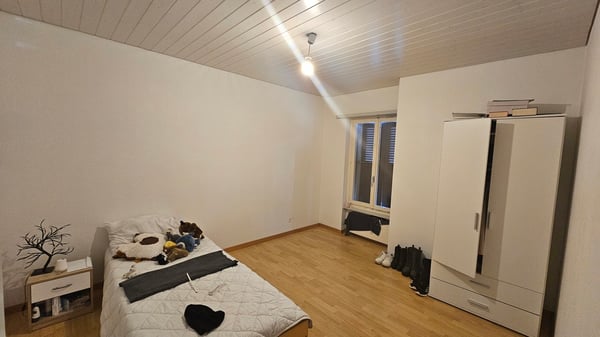 Lot à vendre - Surface commerciale et appartement de 4.5 pièces 9