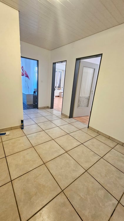 Lot à vendre - Surface commerciale et appartement de 4.5 pièces 8