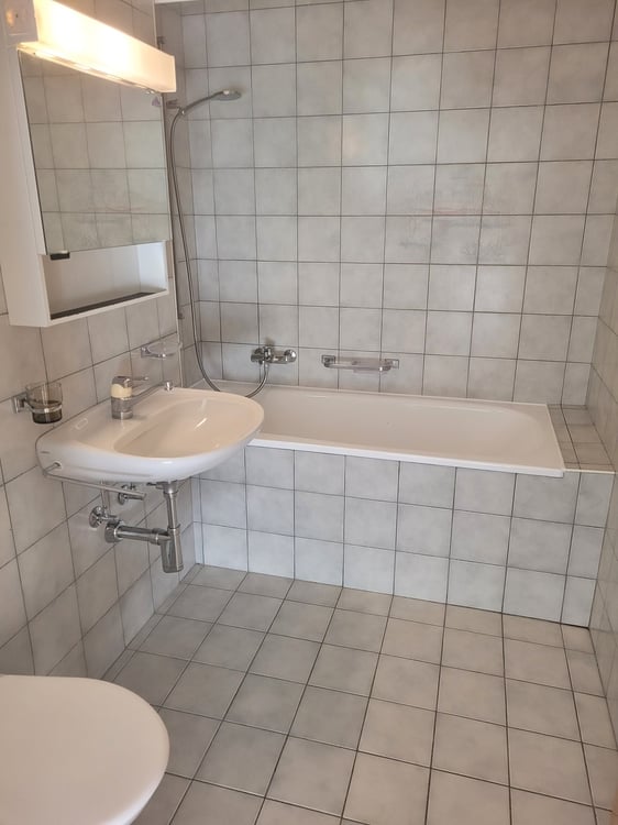 Appartement 2,5 pièces de 52 m2 avec terrasse 6