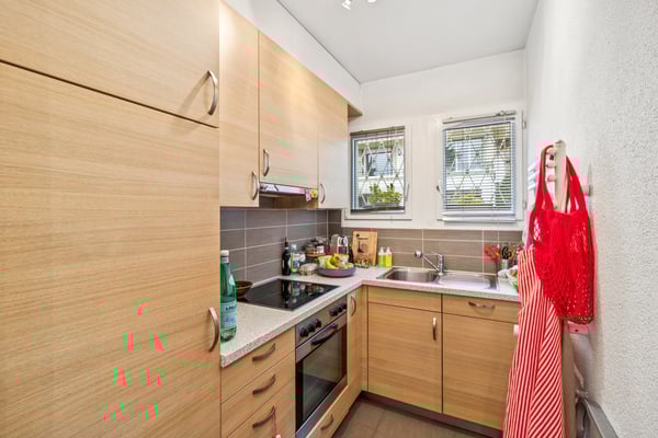 Belle propriété avec trois appartements et vue lac exceptionnelle 13