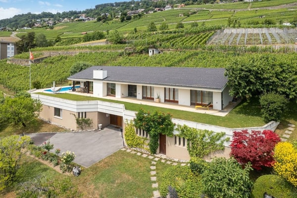 Entre le vert des vignes et le bleu du lac 1